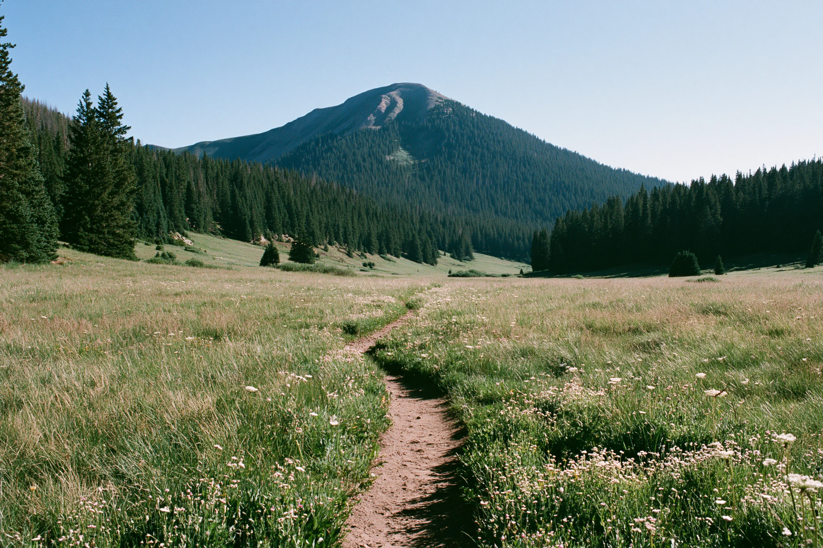 Signature For Burnout — A psychedelic leadership retreat for executives seeking recovery from burnout, renewed clarity, sustainable performance, and reconnection to purpose.